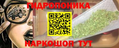 прущие крисы Кимры
