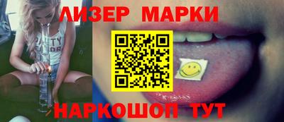 шишки Кандалакша