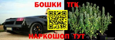 шишки Кандалакша