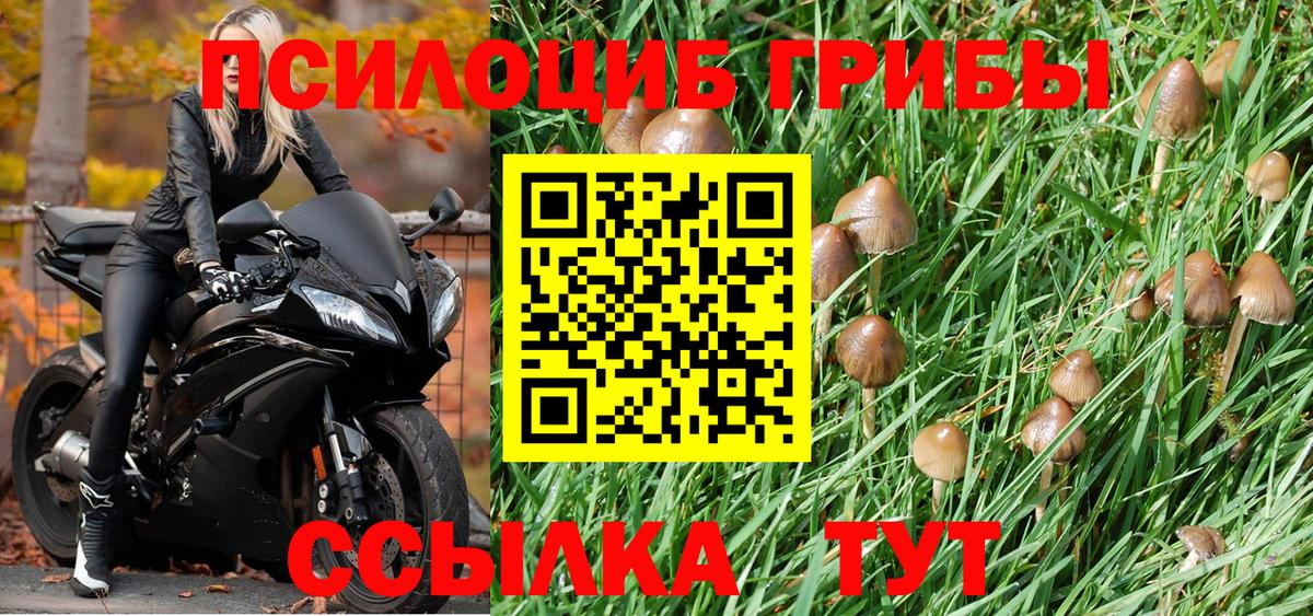 Кубинка  Галлюциногенные грибы Cubensis  Вход с VPN 